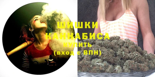 дурь Арсеньев