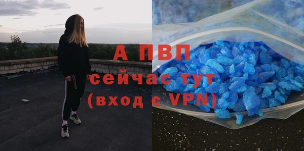 ешки Новодвинск
